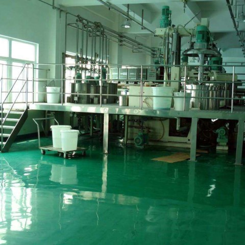 汕头乙烯基防腐蚀地坪,乙烯基酯地坪,乙烯基酯防腐蚀地坪,乙烯基重防腐蚀地坪,乙烯基重防腐地坪,乙烯基重防腐自流平地坪